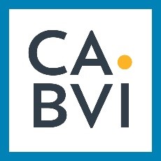 CABVI GRAB BAG