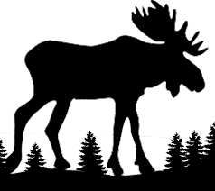 Northern Connection