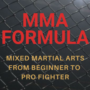 MFP001: Basic principles and skills for stand-up MMA fighting
