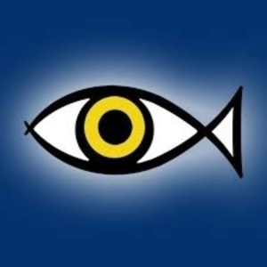 עין הדג מציגים