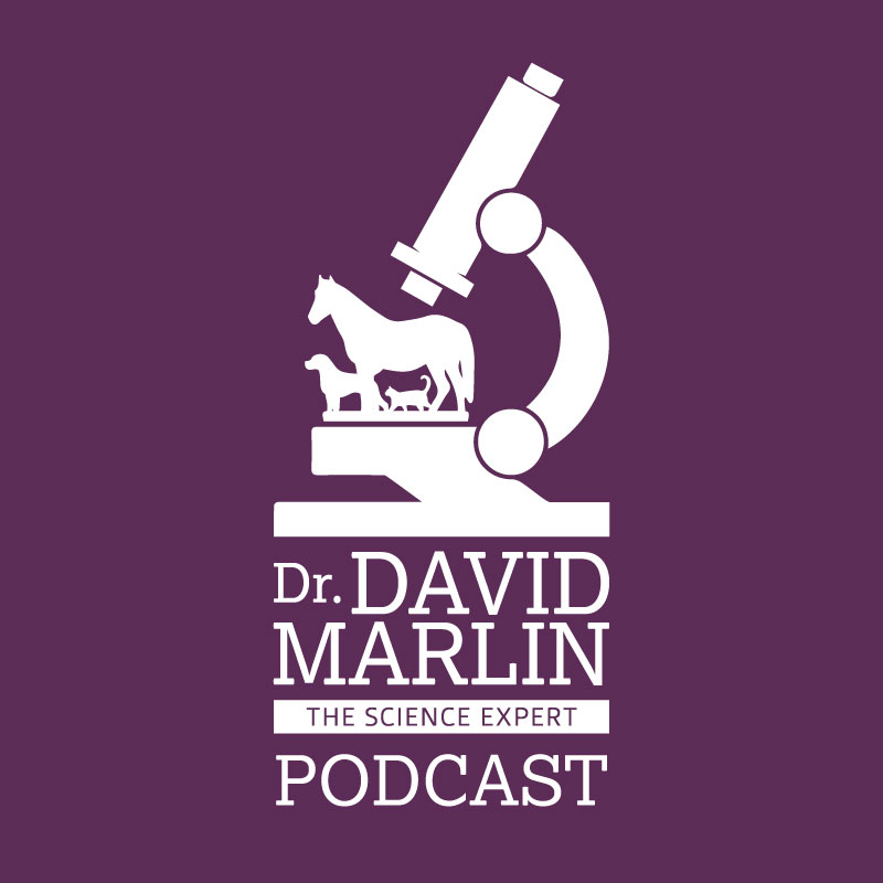 DrDavidMarlin.com Podcast