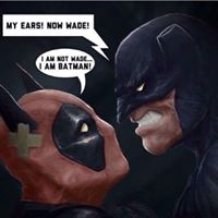 seeradaubenmire