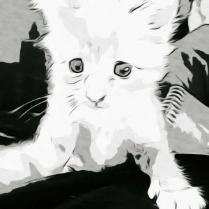 Forward Motion Podcast