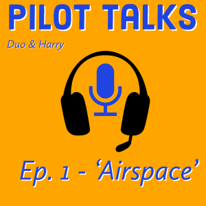 Pilot Talks